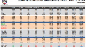 Commodities and Indices Cheat Sheet February 02
